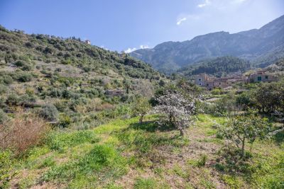 Propiedad de la semana