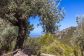 Encantadora casa de montaña con vistas y total tranquilidad – Port de Sóller