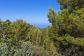 Encantadora casa de montaña con vistas y total tranquilidad – Port de Sóller