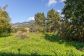 Casa de pueblo con jardín en Sóller