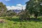 Casa de pueblo con jardín en Sóller