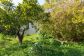 Casa de pueblo con jardín en Sóller