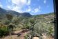 Cómoda casa de piedra con espectaculares vistas en Deià para alquilar