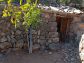 Soleado olivar cerca del pueblo de Fornalutx