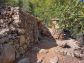 Soleado olivar cerca del pueblo de Fornalutx