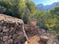 Soleado olivar cerca del pueblo de Fornalutx