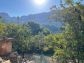 Soleado olivar cerca del pueblo de Fornalutx