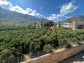 Casa con pequeño jardín en las afueras de Sóller