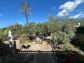 Casa con pequeño jardín en las afueras de Sóller