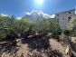 Casa con pequeño jardín en las afueras de Sóller